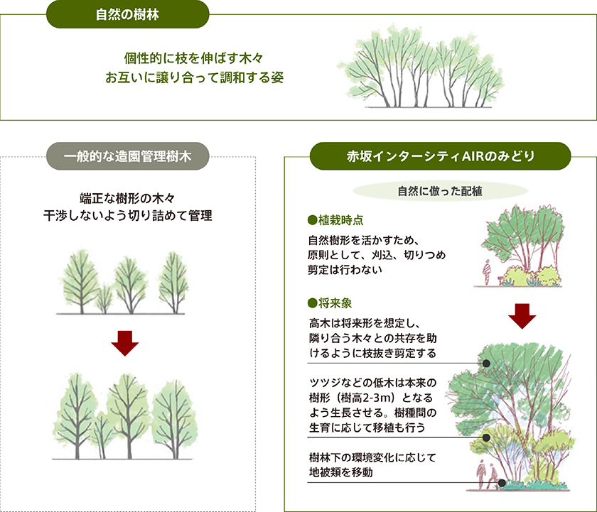 図：赤坂インターシティAIRのみどり