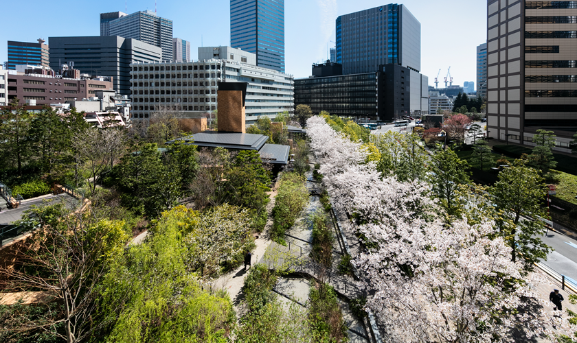 画像：建物がみどりに場所をゆずる3