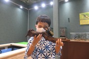 瞬きの間に、英雄と出会う