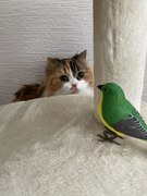 お友達になれるかな?