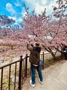 桜に夢中