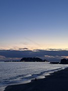 ただ、見てた。