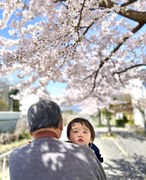 花より孫
