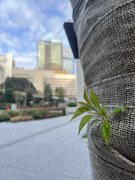 ようこそ虎ノ門へ