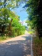 夏の憧憬