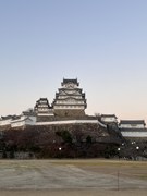 人間って凄いな