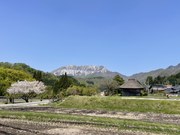 桜と大山と耕すおばあさん