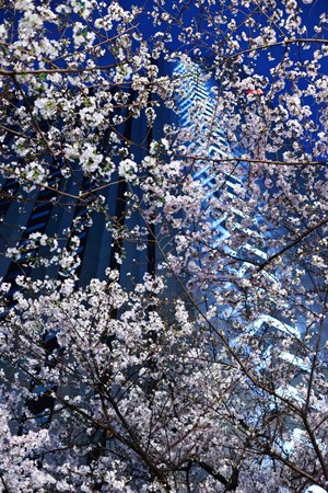 午前2時の独り占め