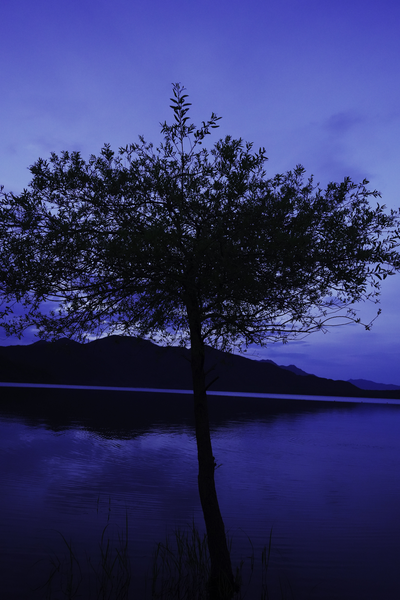 my life ＝ beauty of nature